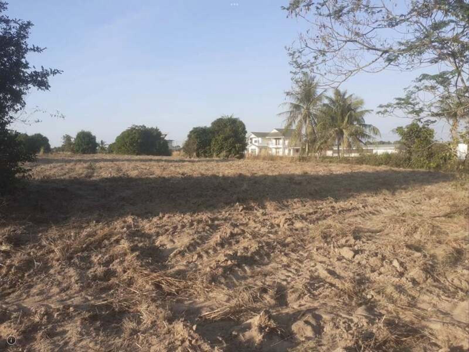 ขายที่ดินติดถนนใหญ่ ทำเลทุ่งกลม–ตาลหมัน