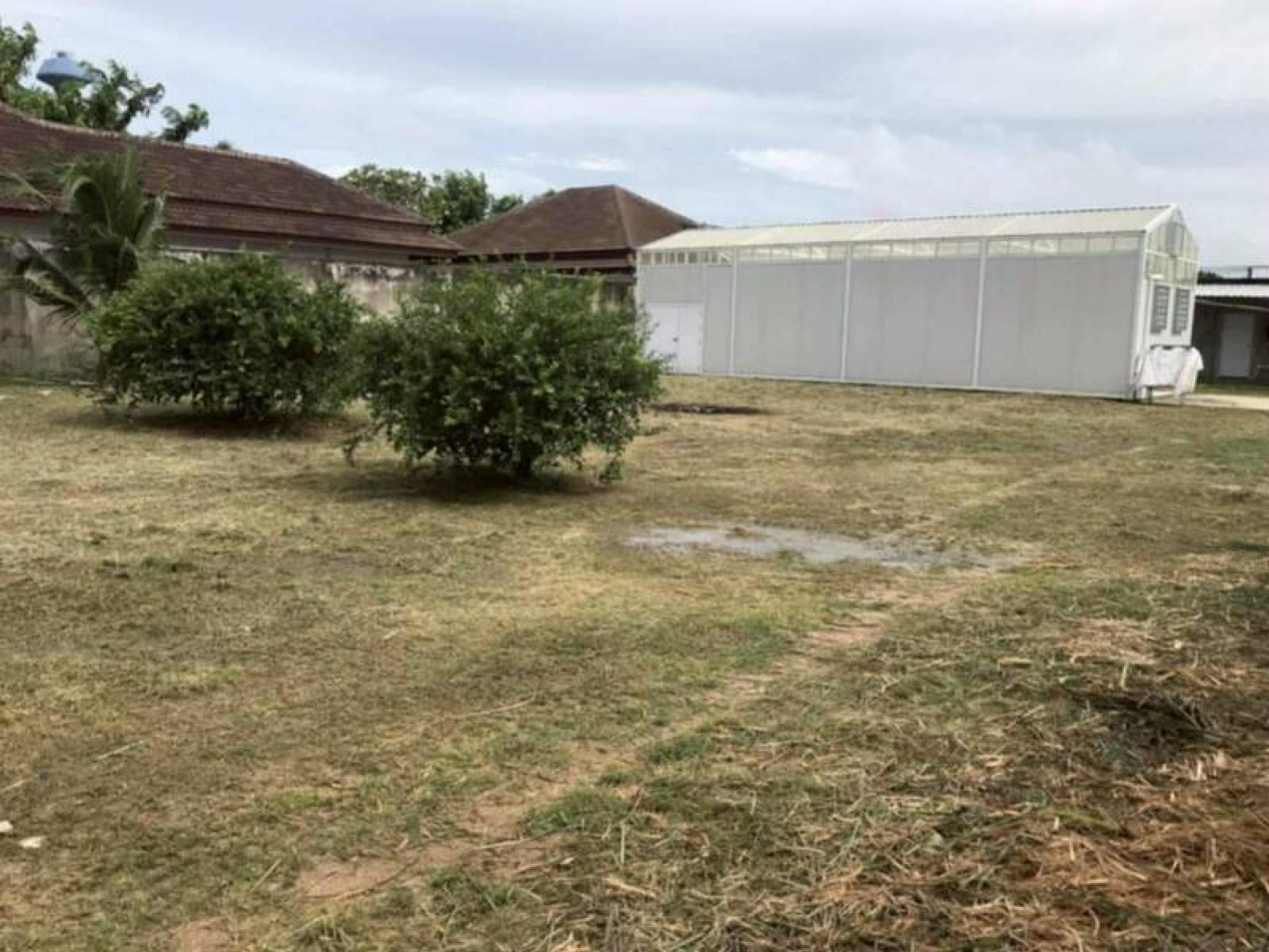 ที่ดินพร้อมห้องเช่าปรับปรุงใหม่สำหรับขาย