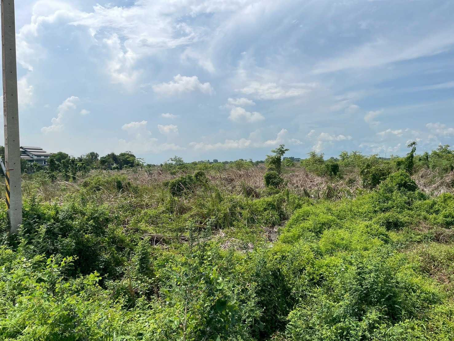 Urgent sale! Beautiful plot of land, next to the main road, potential location, Khlong Luang Phaeng Subdistrict. Mueang Chachoengsao District Chachoengsao Province Urgent sale! Beautiful plot of land, next to the main road, potential location, Khlong Luang Phaeng Subdistrict. Mueang Chachoengsao District Chachoengsao Province