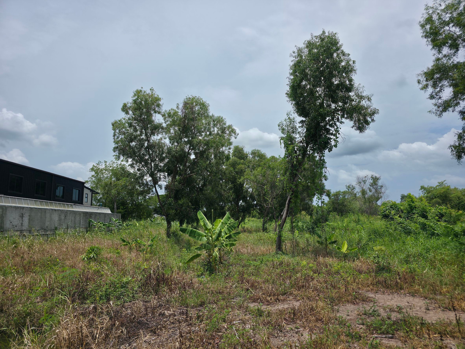 Beautiful plot of land for sale, 2 rai 2 ngan, square, Soi Tang Dok Bua, Thetsaban 6 Road, Sam Khok District, Pathum Thani Province, behind the Asia Star factory, just 120 meters into the alley. – รูปที่ 4