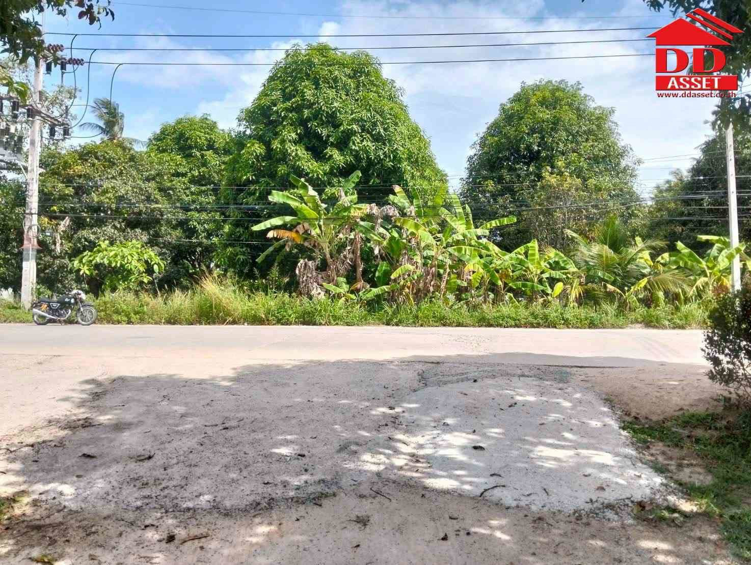 Empty land for sale next to the road, Koh Phangan, Surat Thani Province, property code: L8074 Empty land for sale next to the road, Koh Phangan, Surat Thani Province, property code: L8074