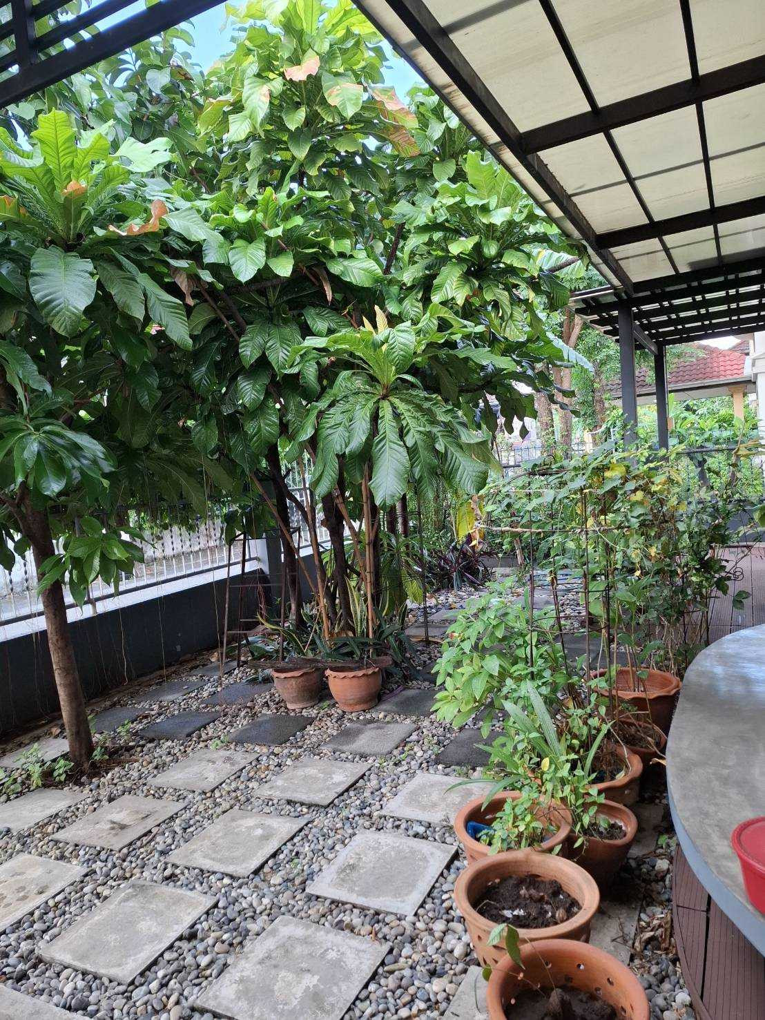 ขายบ้านเดี่ยวรีโนเวทใหม่ พร้อมอยู่ หมู่บ้านมงคลทิพย์ รามอินทรา 34 ใกล้รถไฟฟ้าสายสีชมพู – รูปที่ 4