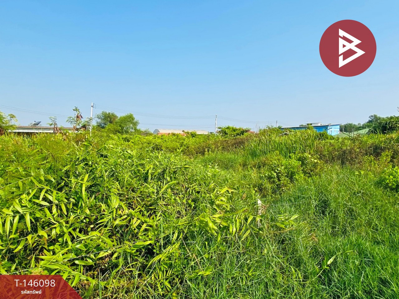 Land for sale, area 1 ngan, Ban Bo, Samut Sakhon – รูปที่ 4