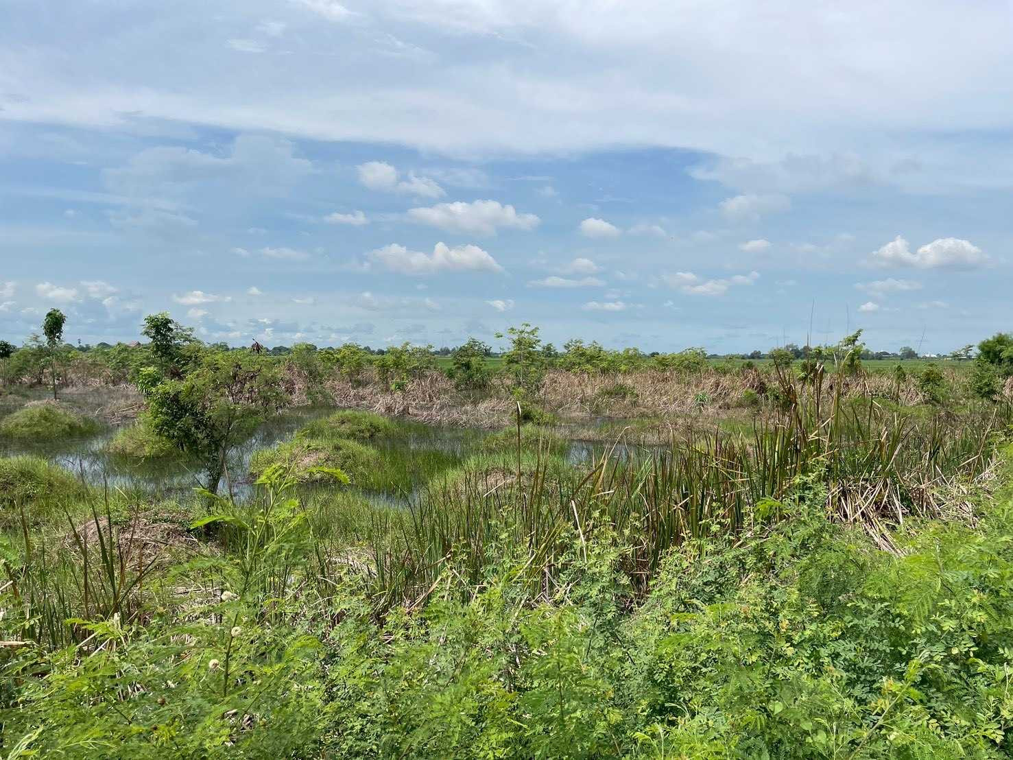 Urgent sale! Beautiful plot of land, next to the main road, potential location, Khlong Luang Phaeng Subdistrict. Mueang Chachoengsao District Chachoengsao Province – รูปที่ 3