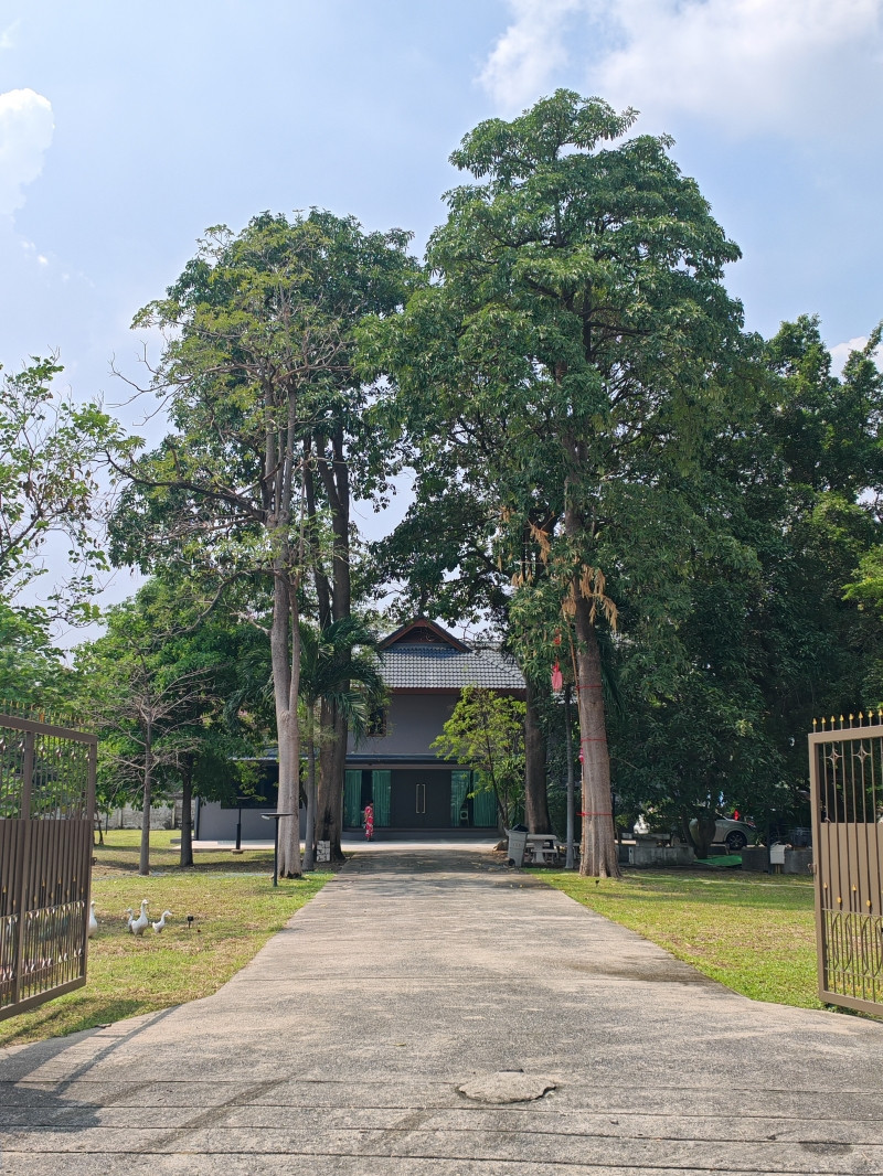ที่ดินผืนใหญ่ 595 ตร.ว. พร้อมบ้าน 500 ตร.ม. ทำเลงามวงศ์วาน 23 แยก 15 เพียง 65,xxx บ./ตร.ว. (ต่ำกว่าราคาตลาดร่วม 20,000 บ./ตร.ว.) – รูปที่ 4