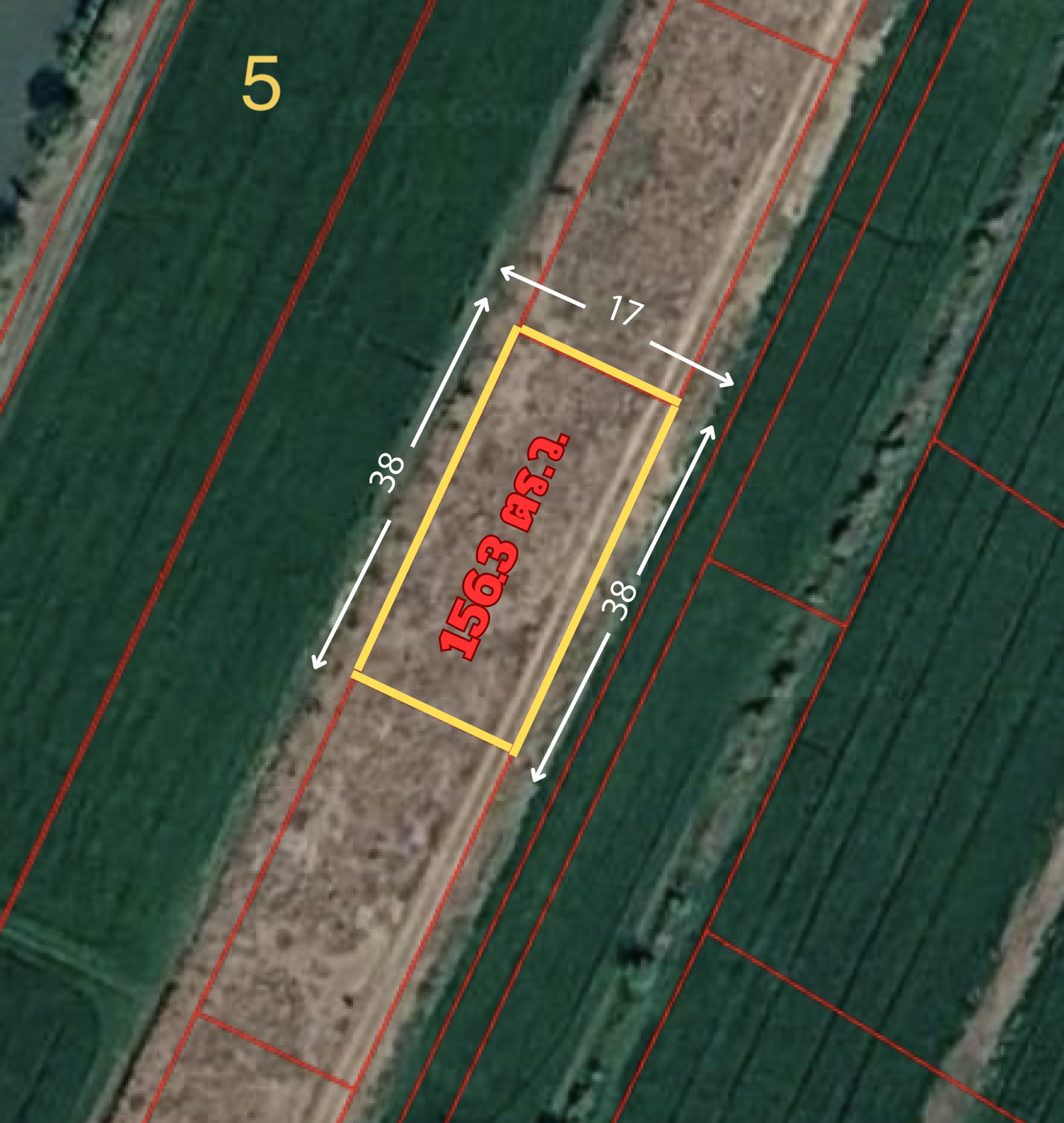 📍Land for sale, beautiful plot, already filled, 156 sq m, Bang Toei Subdistrict, Sam Khok District, Pathum Thani Province📍