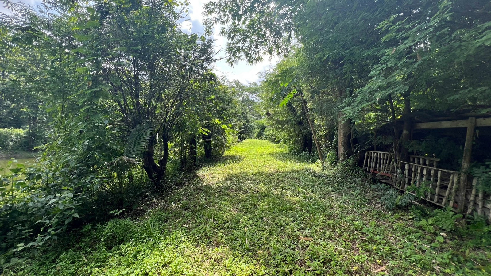 This plot answers the question! Hua weir land for sale with teak plantation, next to a natural mine canal, 25 rai 1 ngan. This plot answers the question! Hua weir land for sale with teak plantation, next to a natural mine canal, 25 rai 1 ngan.