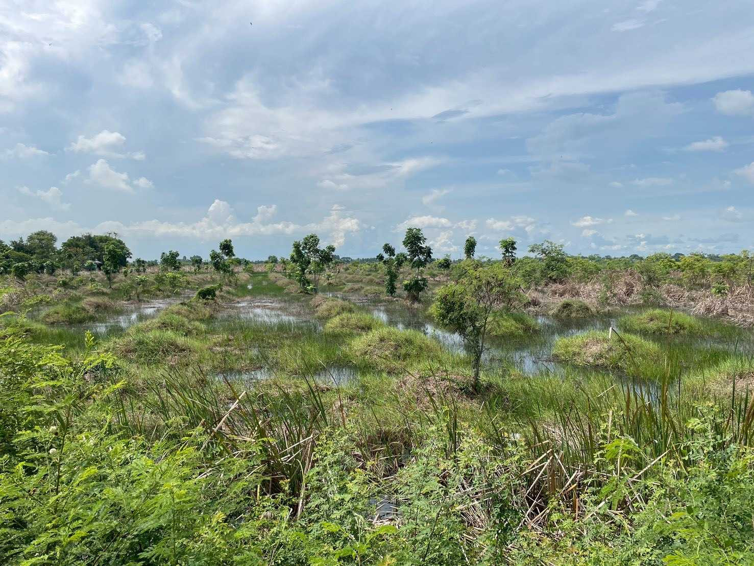 Urgent sale! Beautiful plot of land, next to the main road, potential location, Khlong Luang Phaeng Subdistrict. Mueang Chachoengsao District Chachoengsao Province – รูปที่ 2
