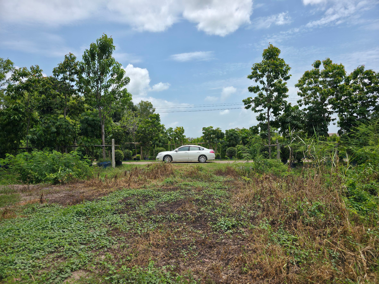 Beautiful plot of land for sale, 2 rai 2 ngan, square, Soi Tang Dok Bua, Thetsaban 6 Road, Sam Khok District, Pathum Thani Province, behind the Asia Star factory, just 120 meters into the alley. – รูปที่ 3
