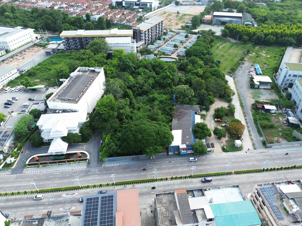 ขาย ที่ดิน ทำเลดีมาก ริมถนนพัทยาเหนือ 3 ไร่ 25.8 ตรว เหมาะทำการค้า คอนโด โรงแรม DD – รูปที่ 4