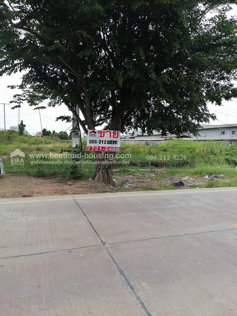 Empty land for sale 3-1-13 rai, Rama 2 Rd. – รูปที่ 2