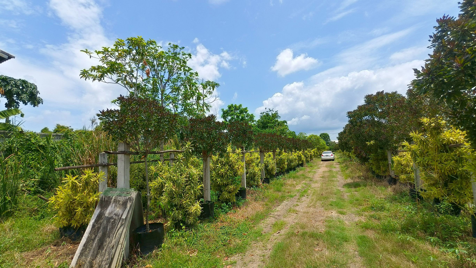 Beautiful plot of land for sale, 2 rai 2 ngan, square, Soi Tang Dok Bua, Thetsaban 6 Road, Sam Khok District, Pathum Thani Province, behind the Asia Star factory, just 120 meters into the alley. Beautiful plot of land for sale, 2 rai 2 ngan, square, Soi Tang Dok Bua, Thetsaban 6 Road, Sam Khok District, Pathum Thani Province, behind the Asia Star factory, just 120 meters into the alley.