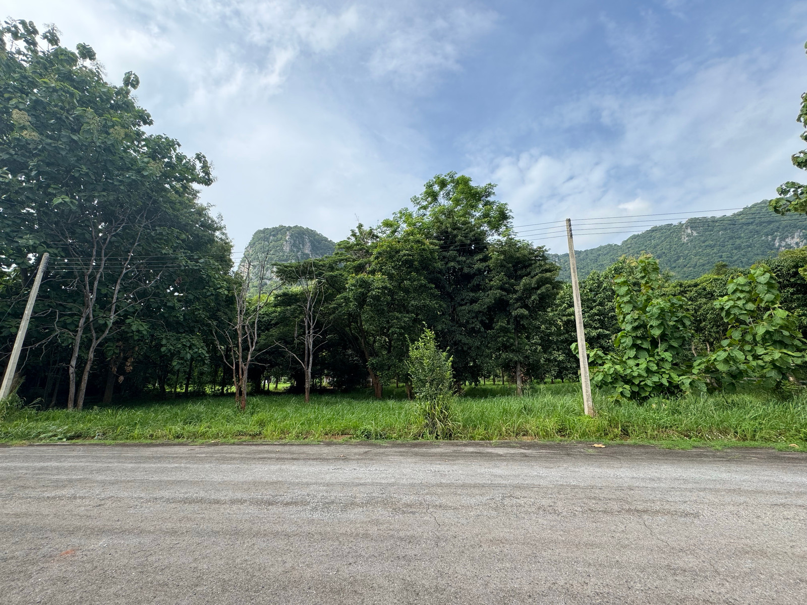 ***ขายด่วน***ขายที่ดินเขาใหญ่ ทำเลสวยในเขาลอยรีสอร์ท ปากช่อง วิวภูเขา 1 ไร่ 4 ตร.ว. เพียง 14,500บาท/ตร.ว. ทำเลที่ตอบโจทย์ทั้งการอยู่อาศัยและการลงทุน – รูปที่ 2
