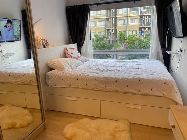 For sale 🏢 **Project:** Plum Alive Condo 2