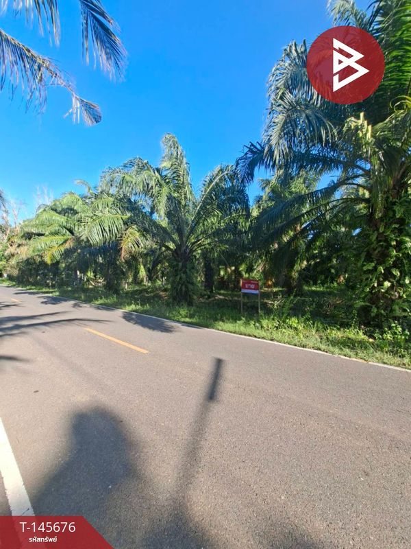 Land for sale, area 3 rai 5 square wah, Don Sak, Surat Thani.