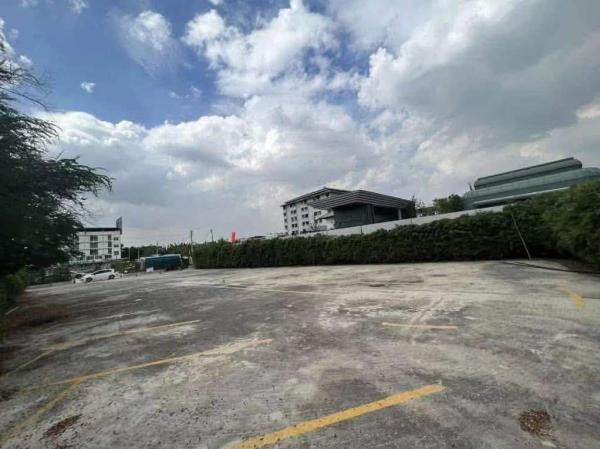 ที่ดิน 217 ตร.ว. แบริ่ง 31/1 / 217 ตร.วา (ให้เช่า), Land plot of 217 square wah Bearing 31/1 / 217 Square Wa (FOR RENT) DA077