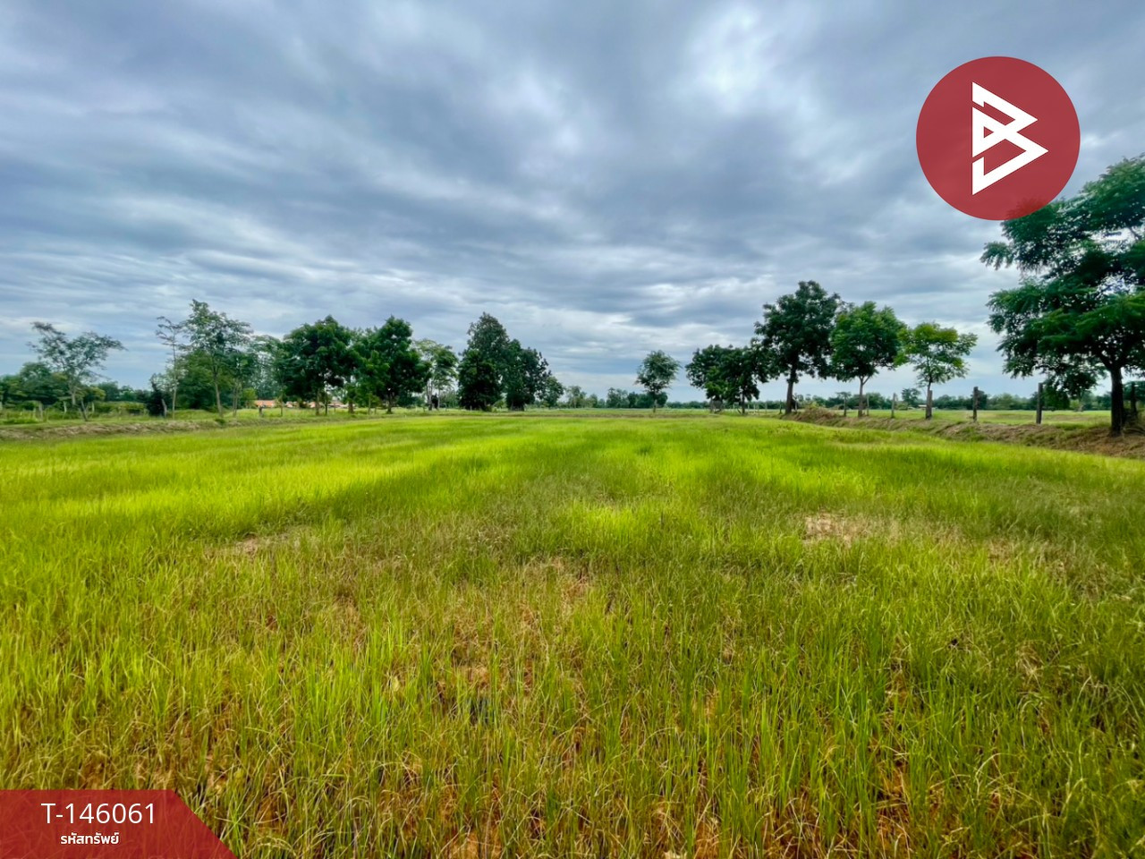 ขายที่ดิน เนื้อที่ 14 ไร่ 40.3 ตร.วา บ้านไผ่ ขอนแก่น ขายที่ดิน เนื้อที่ 14 ไร่ 40.3 ตร.วา บ้านไผ่ ขอนแก่น