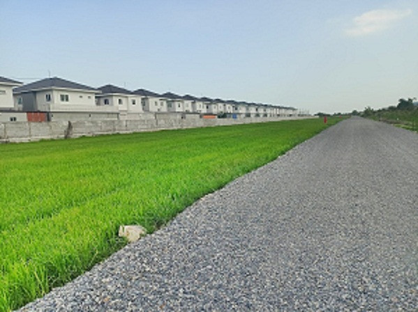 Land, Khlong 9 Thanya, Lam Luk Ka_near Rangsit Nakhon Nayok, Khlong 9 Thanya, Lam Luk Ka side, Pathum Thani T.062-1574449 – รูปที่ 3