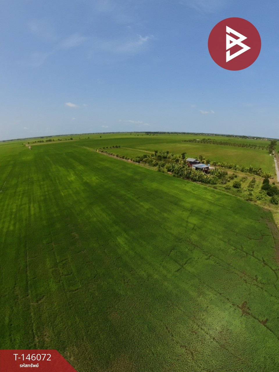 Large plot of land for sale, area 38 rai 2 ngan 72 sq m, In Buri, Sing Buri, good location. – รูปที่ 3