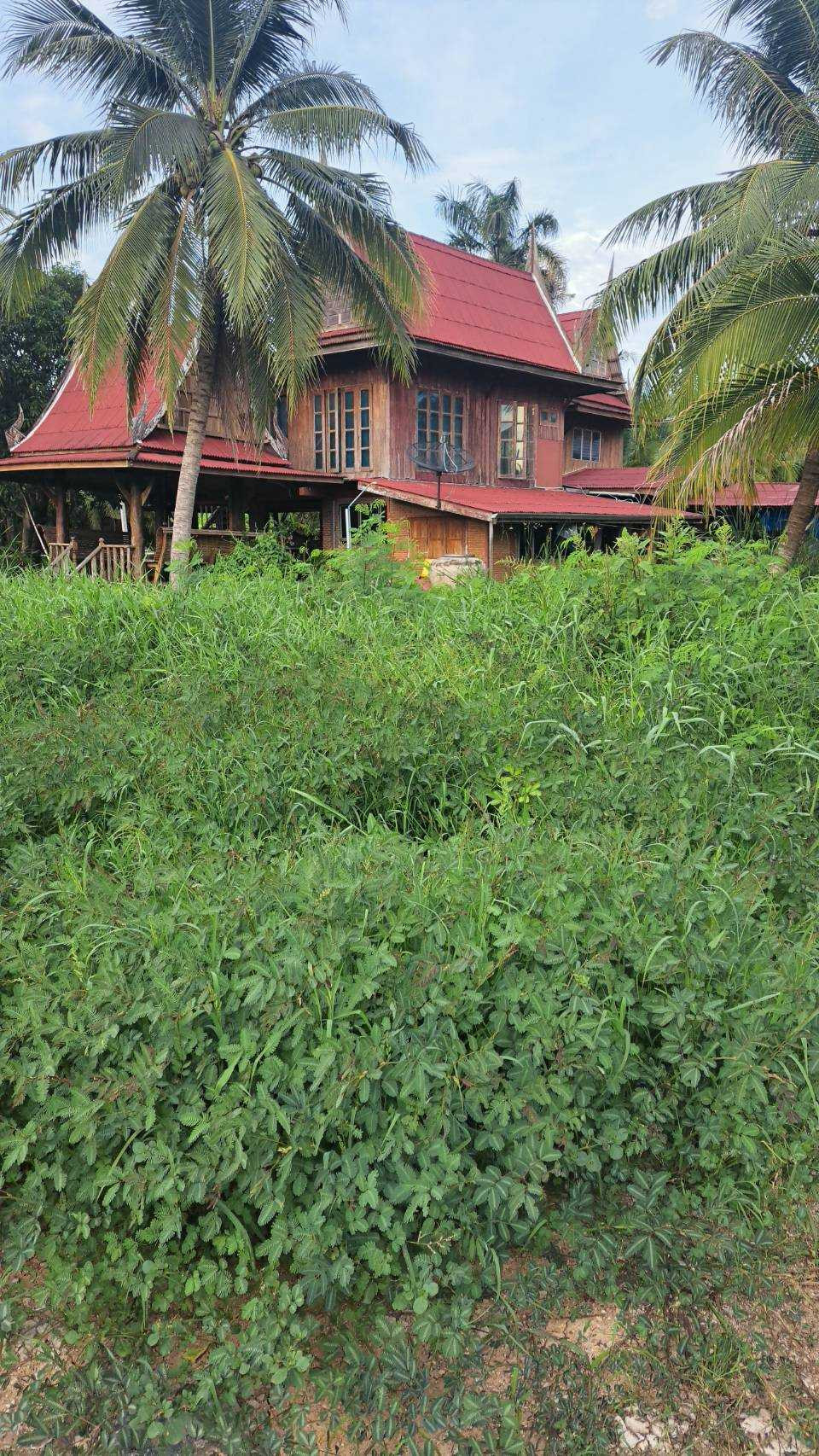 ขาย ที่ดินพร้อมบ้านเรือนไทย บรรยากาศร่มรื่นเป็นส่วนตัว ทำเลดีบ้านแพ้ว สมุทรสาคร ขนาด 4 ไร่ 2 งานเศษ – รูปที่ 3