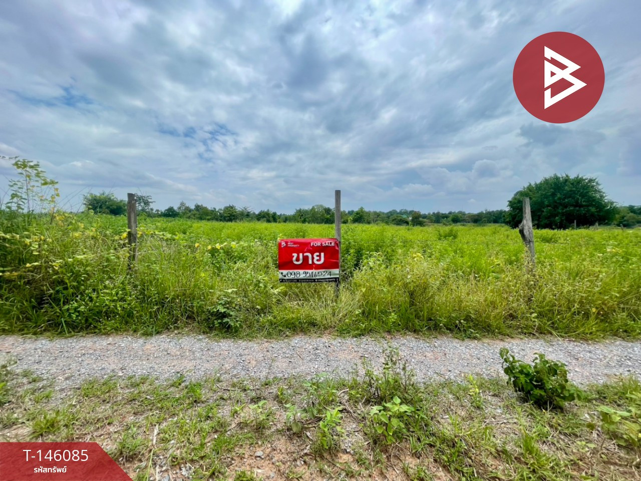 Land for sale, area 8 rai, Kut Rang, Maha Sarakham. Land for sale, area 8 rai, Kut Rang, Maha Sarakham.