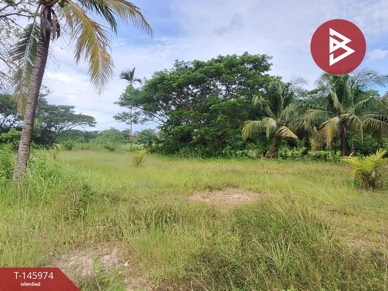 Land for sale, area 1 rai 16.2 sq m, Pak Nakhon, Nakhon Si Thammarat. – รูปที่ 3