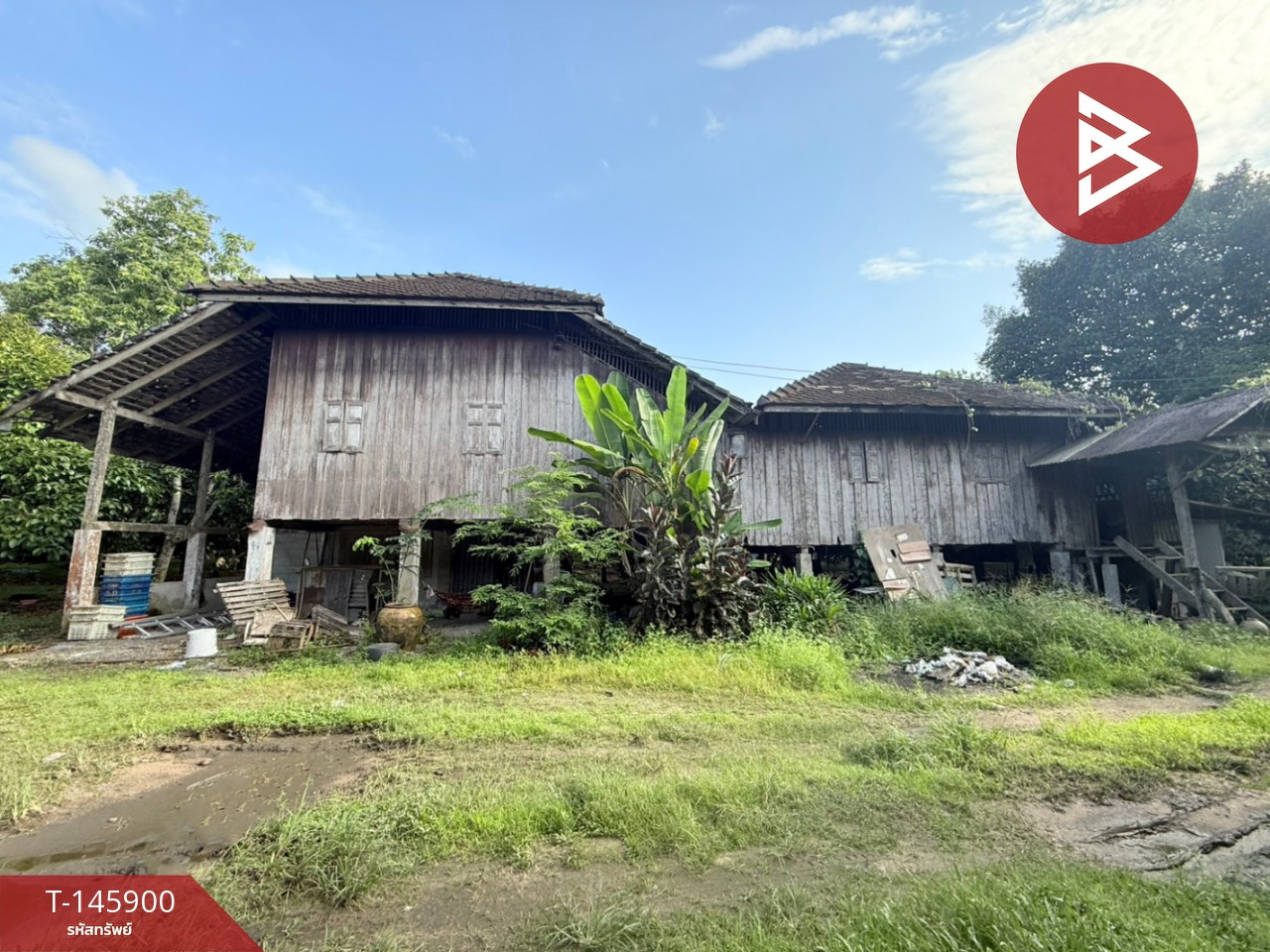 Land for sale with fruit orchard, area 5 rai 15 sq m, Phlapphla, Chanthaburi. Land for sale with fruit orchard, area 5 rai 15 sq m, Phlapphla, Chanthaburi.