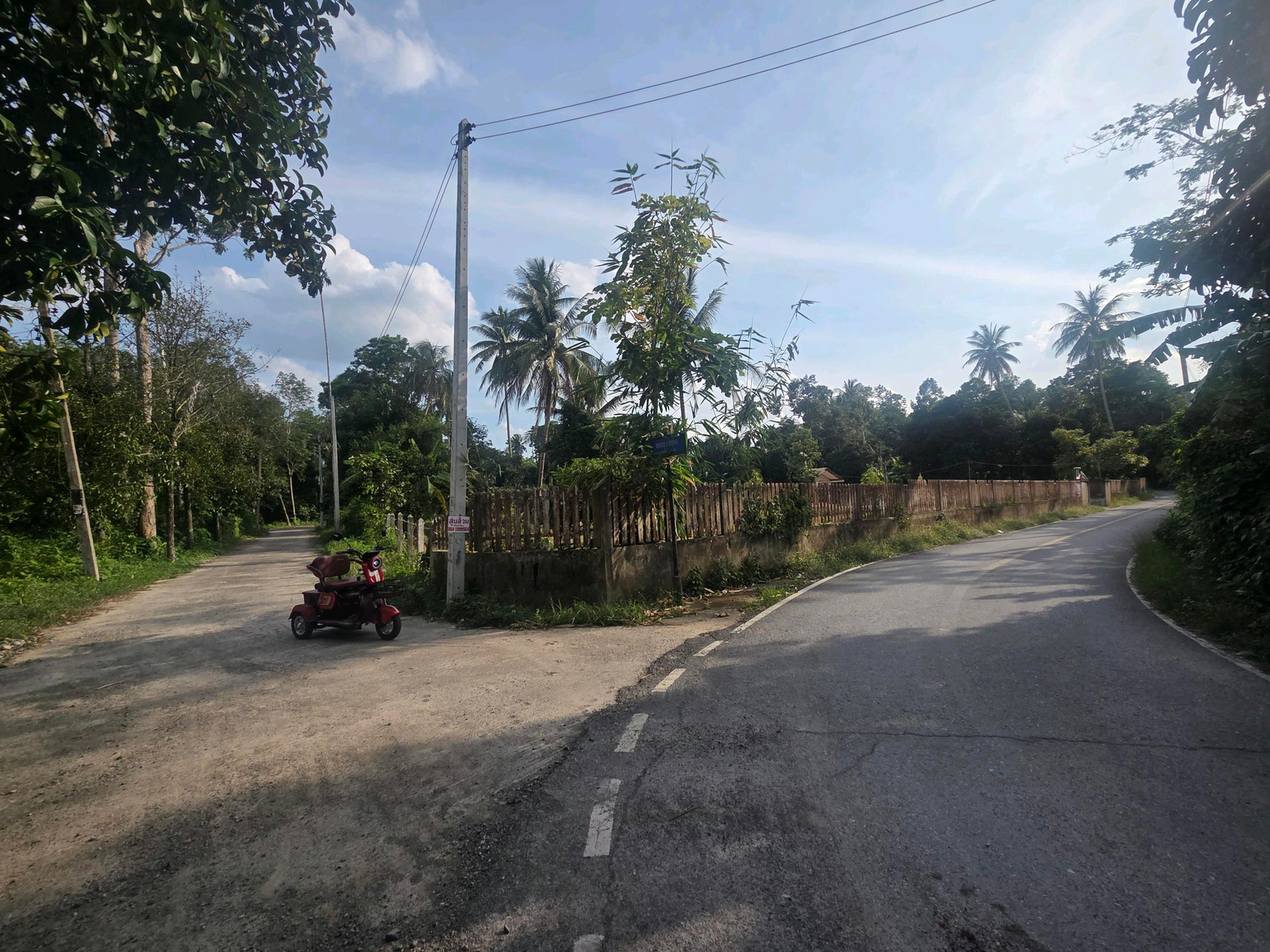 Mangosteen orchard for sale, Nakhon Si, K. Fa 0858892988 – รูปที่ 3