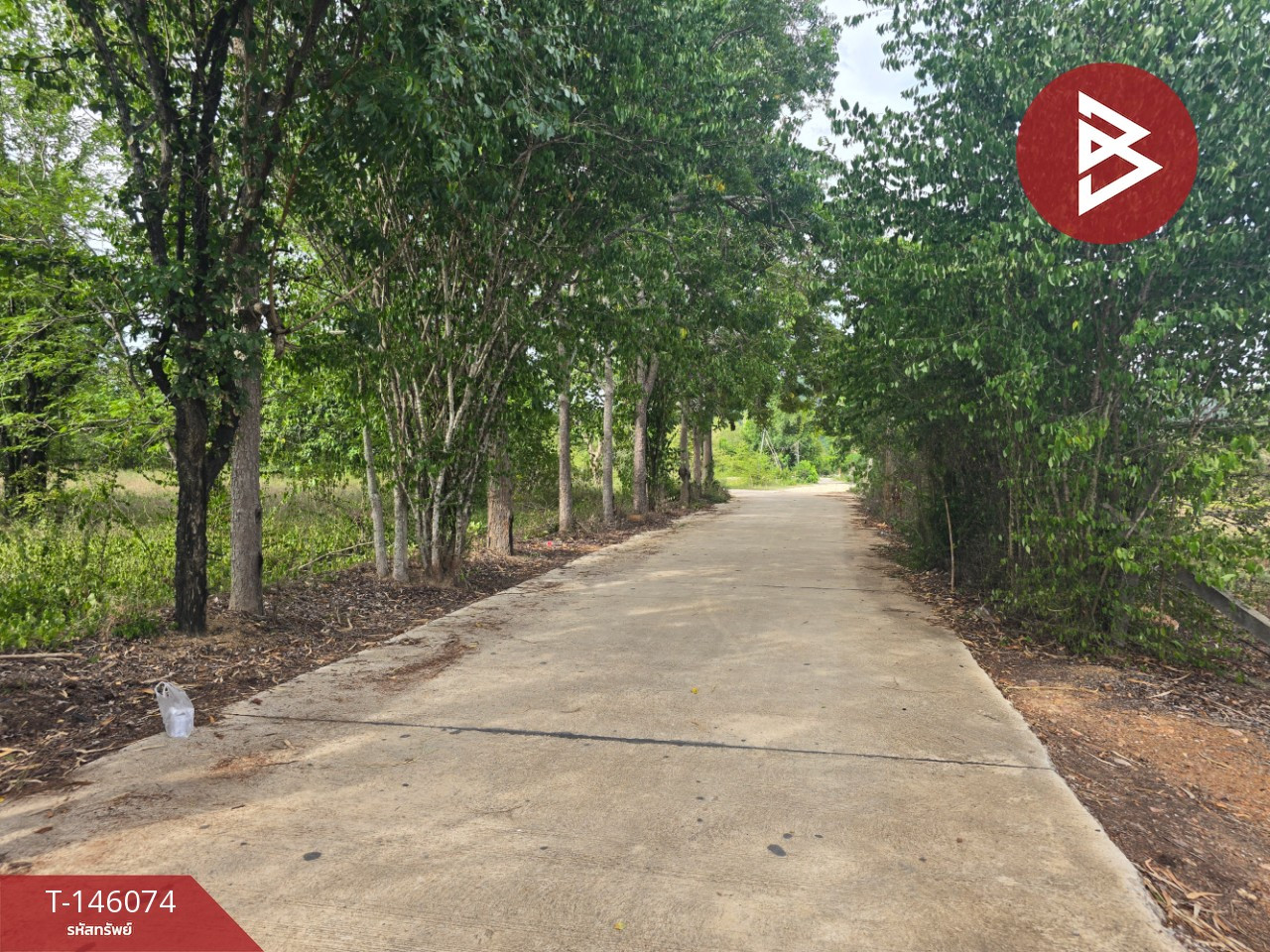 ขายที่ดิน เนื้อที่ 5 ไร่ 2 งาน 8.2 ตร.วา แก่งกระจาน เพชรบุรี – รูปที่ 4