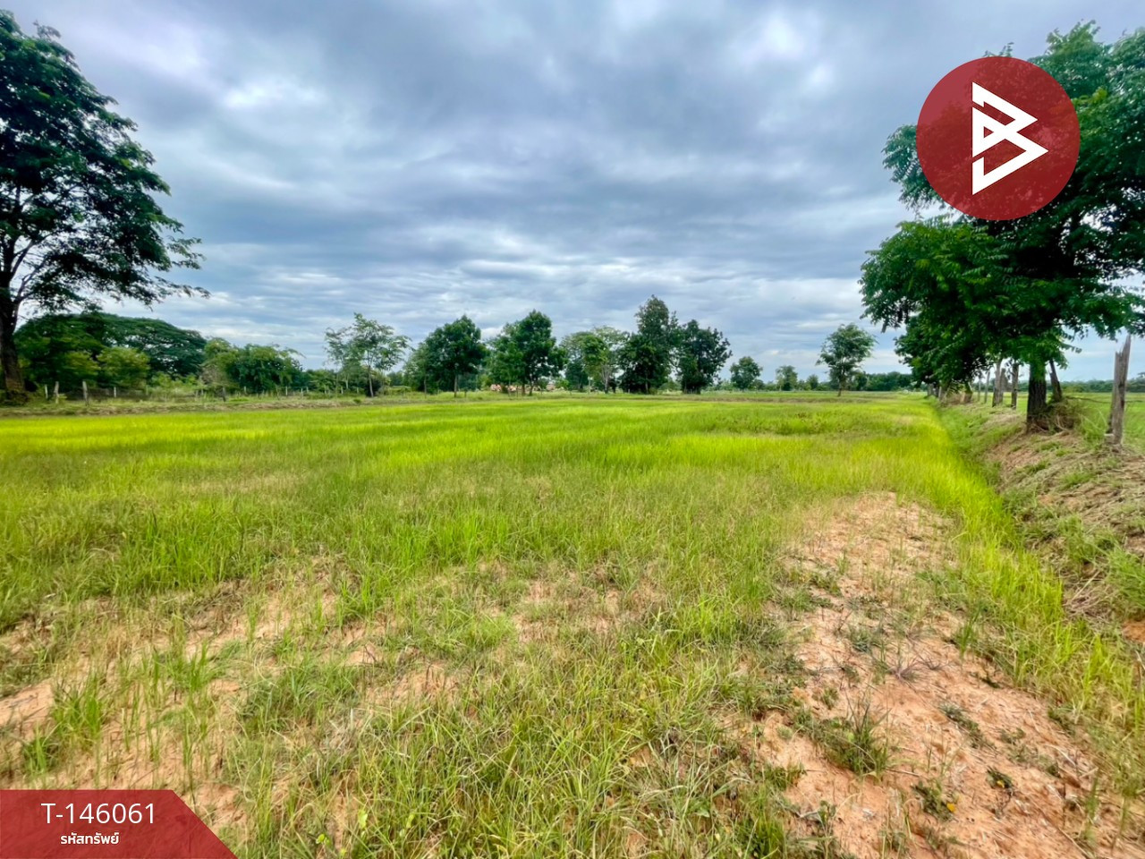 ขายที่ดิน เนื้อที่ 14 ไร่ 40.3 ตร.วา บ้านไผ่ ขอนแก่น – รูปที่ 4