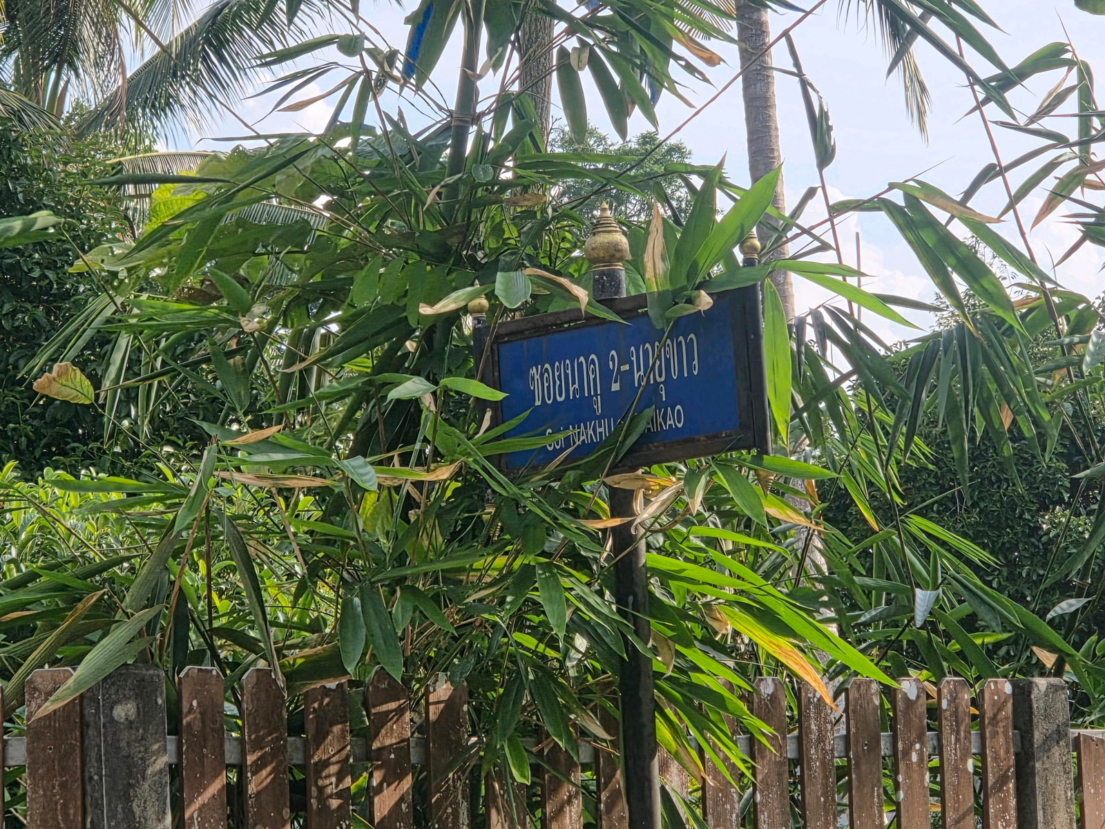 Mangosteen orchard for sale, Nakhon Si, K. Fa 0858892988 – รูปที่ 4