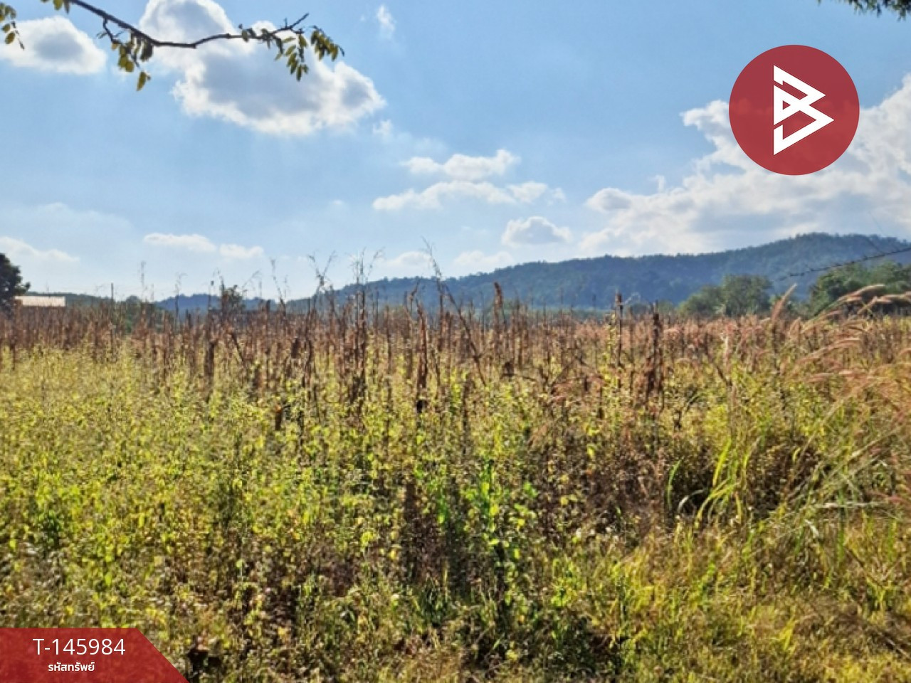 ขายที่ดิน เนื้อที่ 1 ไร่ 3 งาน 13 ตร.วา แม่ลาว เชียงราย – รูปที่ 2