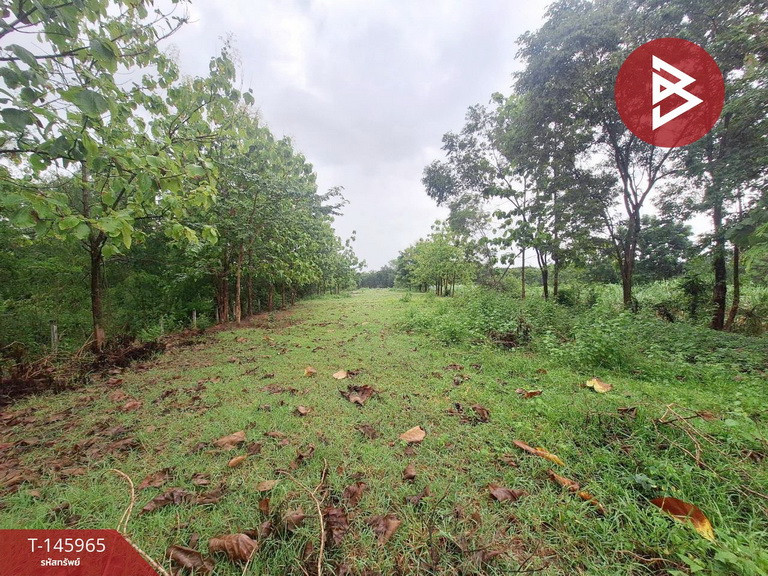 ขายที่ดิน เนื้อที่ 3 ไร่ 1 งาน 84 ตร.วา ชุมแพ ขอนแก่น – รูปที่ 4