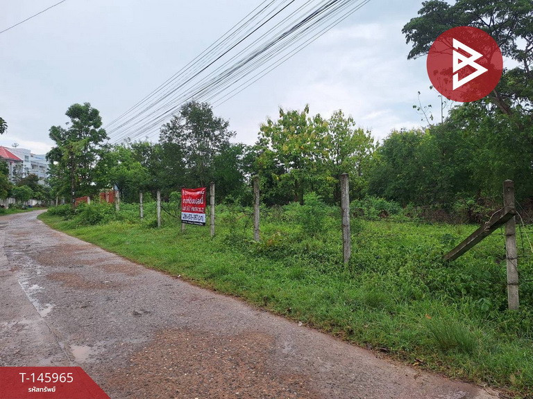 ขายที่ดิน เนื้อที่ 3 ไร่ 1 งาน 84 ตร.วา ชุมแพ ขอนแก่น – รูปที่ 2