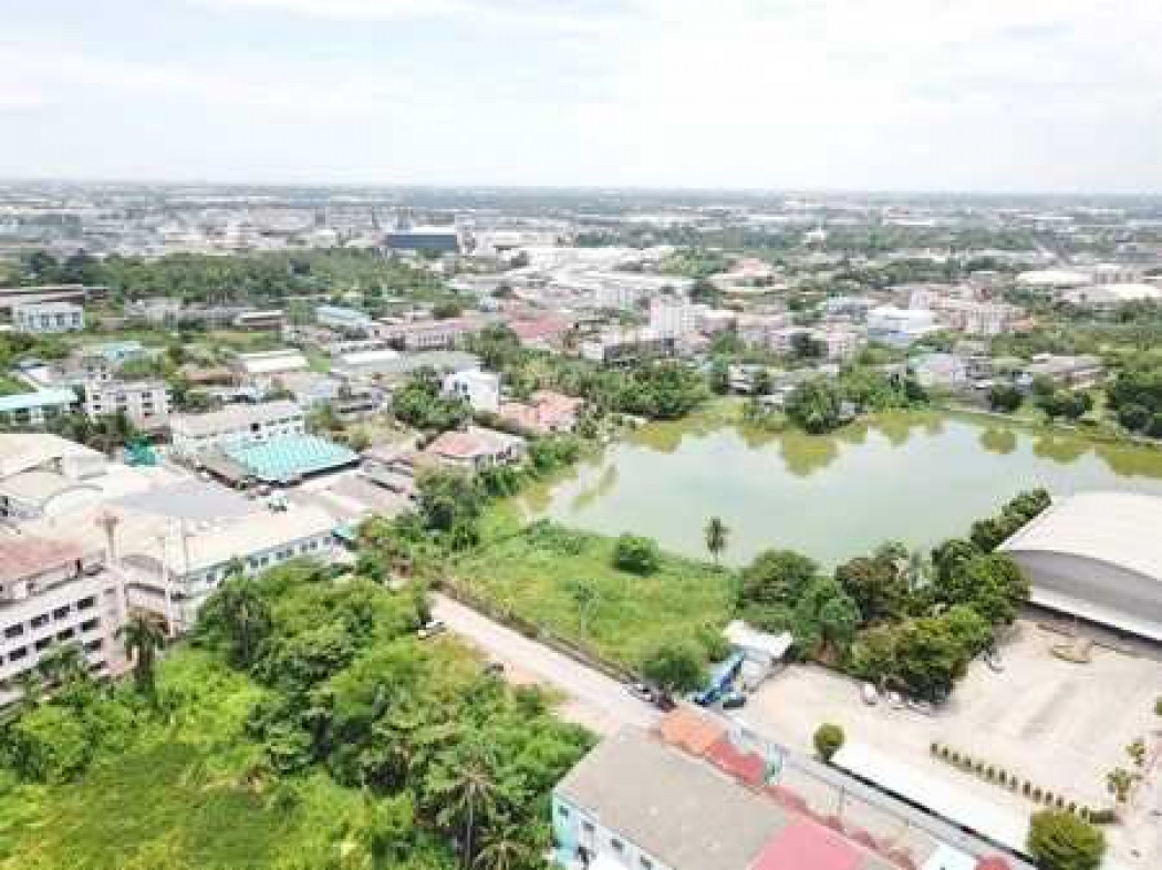 ขาย ที่ดิน ที่ดินริมทะเลสาบ ซอยหมอศรี สามพราน 621 ตร.ว. ทำเลสวย  1 ไร่ 2 งาน 21 ตรว เหมาะสร้างบ้าน ร้านอาหาร คาเฟ่ หรือธุรกิจริมน้ำ – รูปที่ 4