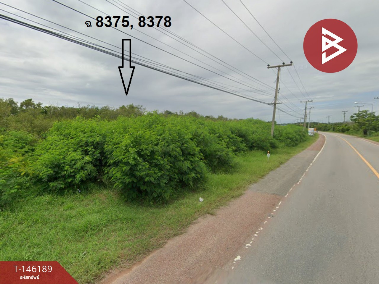 ขายที่ดิน เนื้อที่ 4 ไร่ อ.บ้านแหลม จ.เพชรบุรี ทำเลดีติดถนน – รูปที่ 3