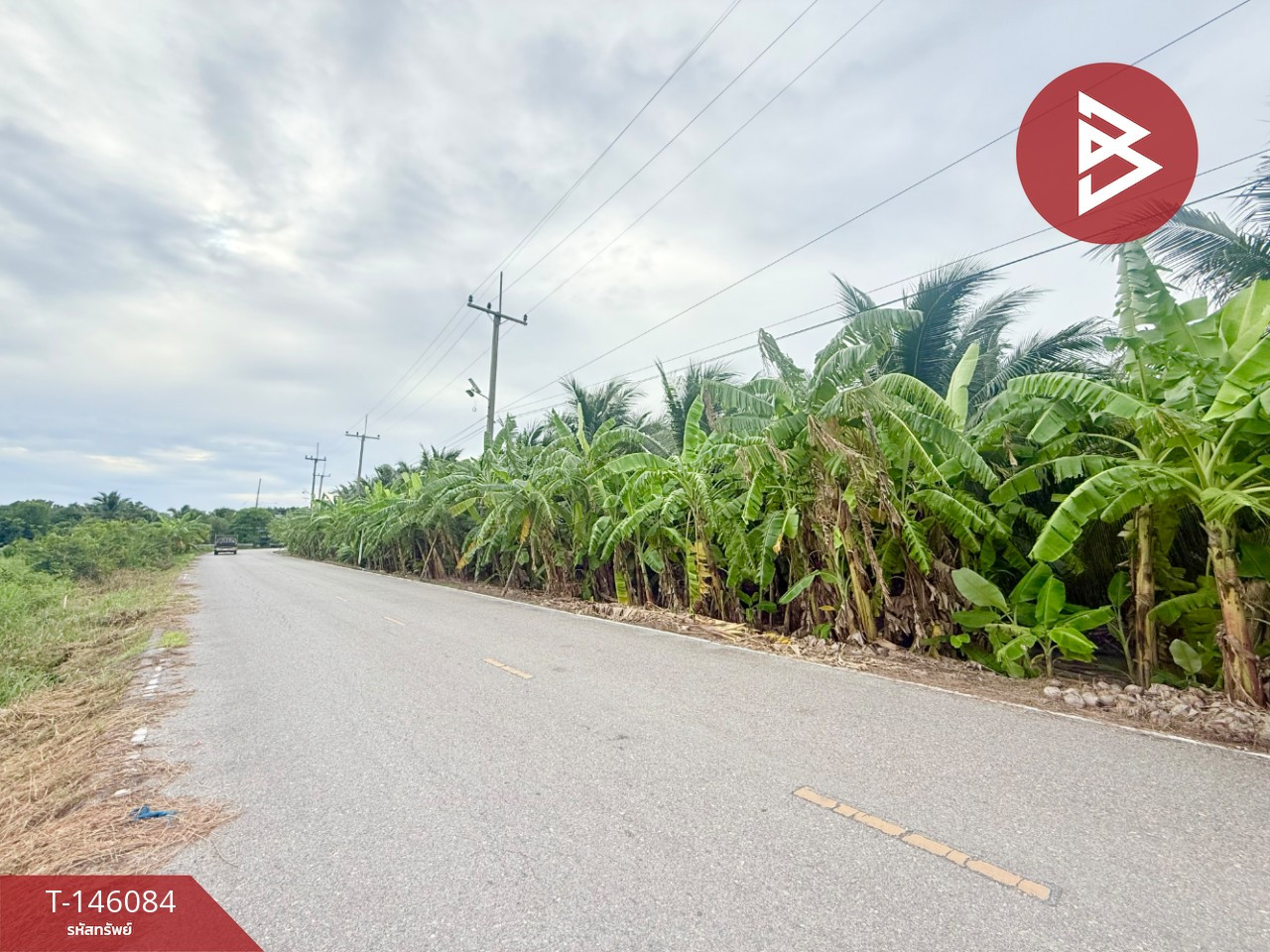 Land for sale, area 5 rai 85.1 square wa, Ban Ko, Samut Sakhon Land for sale, area 5 rai 85.1 square wa, Ban Ko, Samut Sakhon