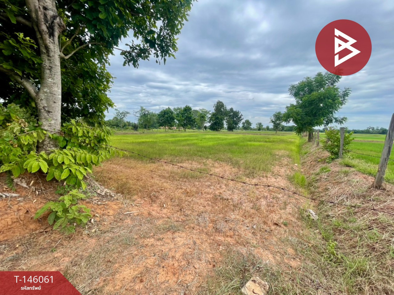 ขายที่ดิน เนื้อที่ 14 ไร่ 40.3 ตร.วา บ้านไผ่ ขอนแก่น – รูปที่ 2