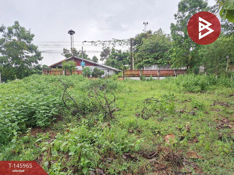 ขายที่ดิน เนื้อที่ 3 ไร่ 1 งาน 84 ตร.วา ชุมแพ ขอนแก่น – รูปที่ 3