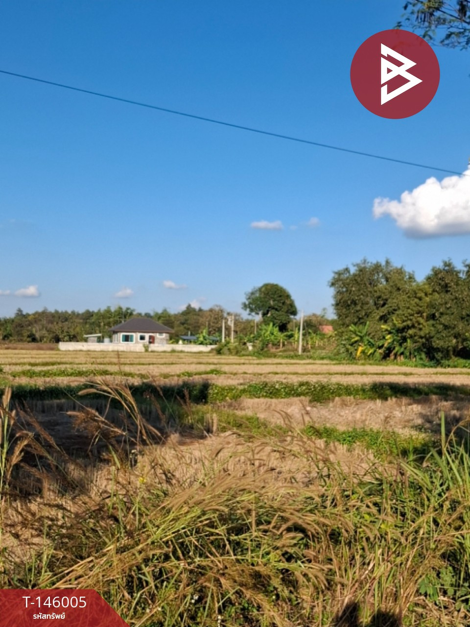 ขายที่ดิน เนื้อที่ 10 ไร่ 1 งาน 55 ตร.วา เวียงชัย เชียงราย – รูปที่ 3