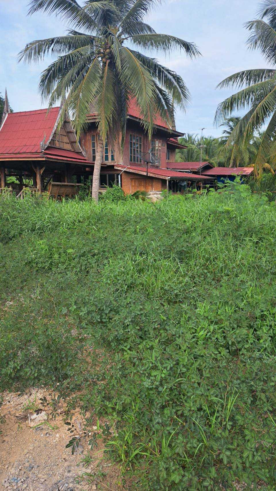ขาย ที่ดินพร้อมบ้านเรือนไทย บรรยากาศร่มรื่นเป็นส่วนตัว ทำเลดีบ้านแพ้ว สมุทรสาคร ขนาด 4 ไร่ 2 งานเศษ – รูปที่ 2