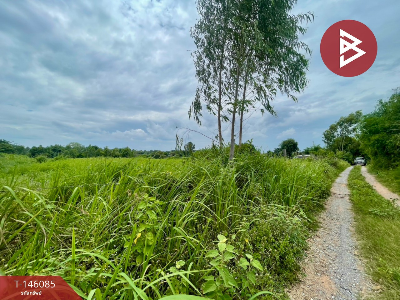 ขายที่ดิน เนื้อที่ 8 ไร่ กุดรัง มหาสารคาม – รูปที่ 4