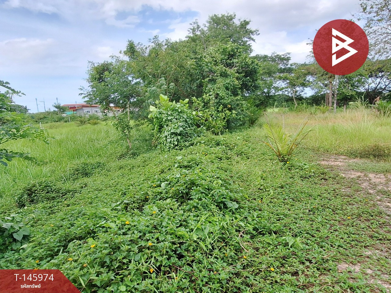 Land for sale, area 1 rai 16.2 sq m, Pak Nakhon, Nakhon Si Thammarat. – รูปที่ 4