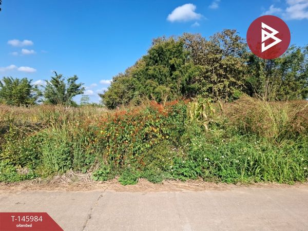 Land for sale, area 1 rai 3 ngan 13 sq m, Mae Lao, Chiang Rai