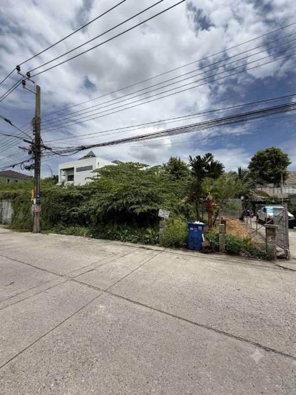 ที่ดิน 50 ตร.ว. แบริ่ง 19 / 50 Square Wa (FOR SALE) DA078