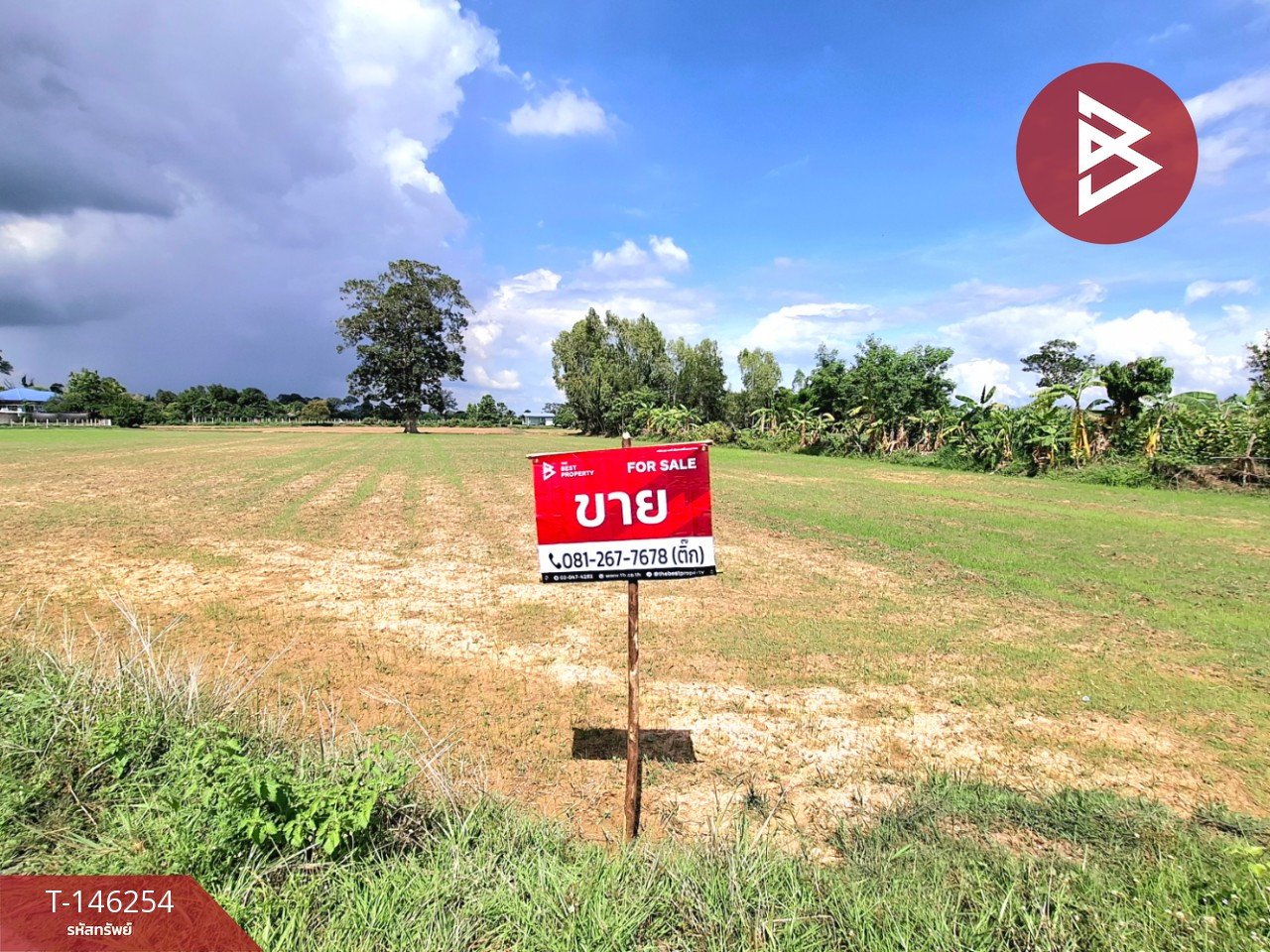 ขายที่ดิน เนื้อที่ 4 ไร่ 3 งาน 80 ตารางวา หนองไผ่ ร้อยเอ็ด – รูปที่ 2