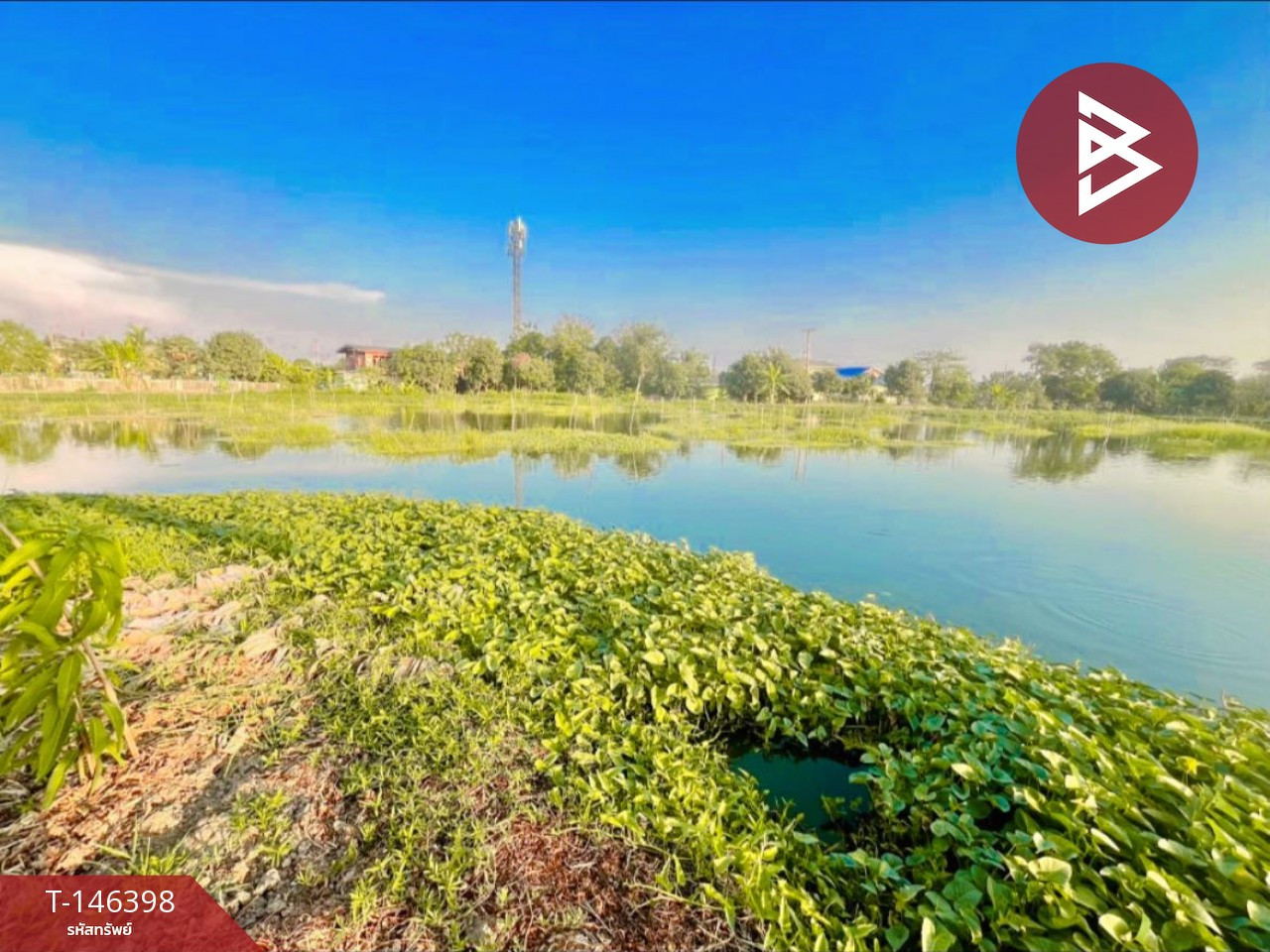 ขายที่ดินเปล่า เนื้อที่ 7 ไร่ 3 งาน 90.6 ตร.วา แพรกษา สมุทรปราการ – รูปที่ 4