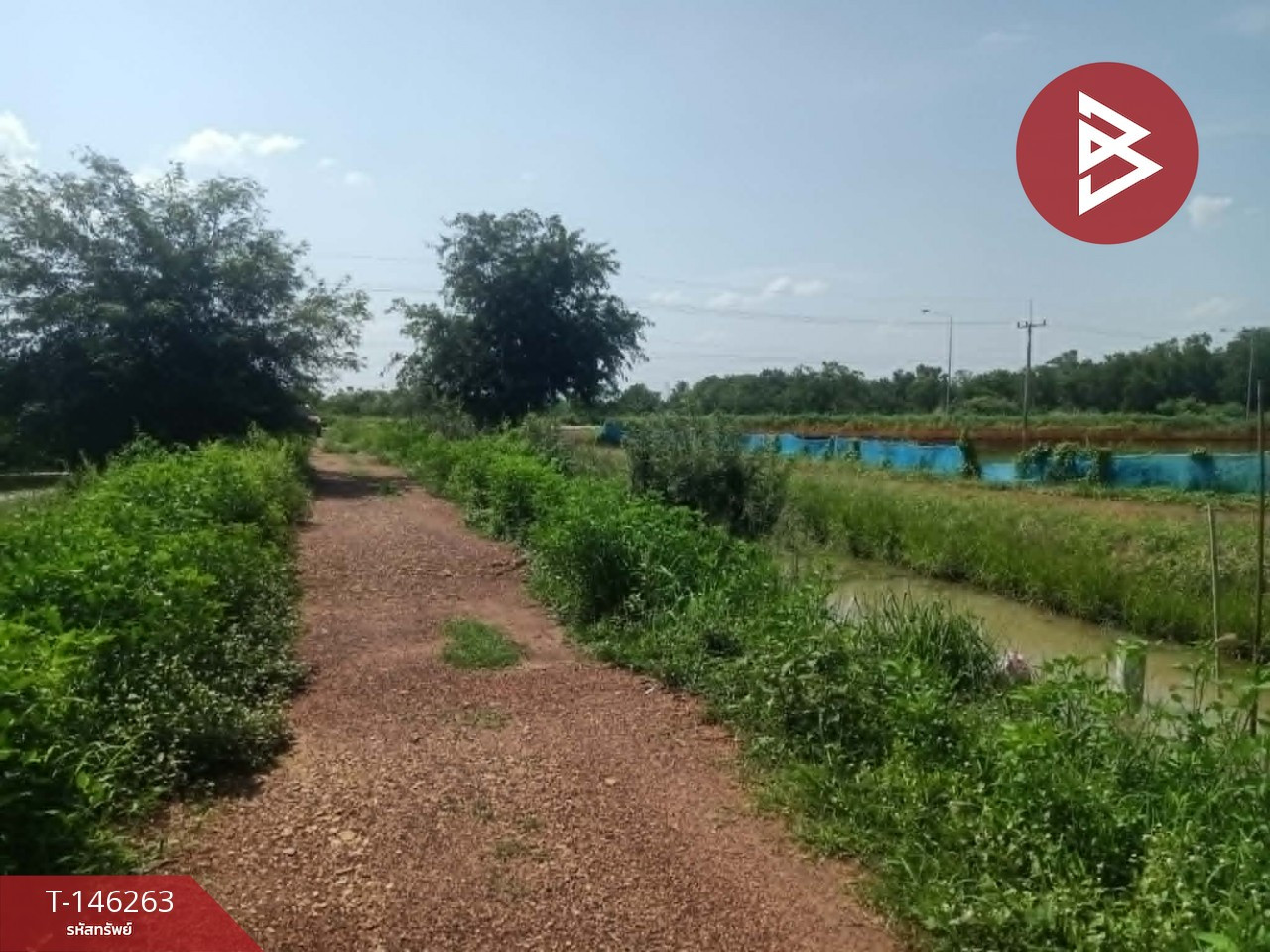 ขายที่ดิน เนื้อที่ 7 ไร่ 3 งาน 59.1 ตร.วา ปากพลี นครนายก ติดถนน – รูปที่ 2
