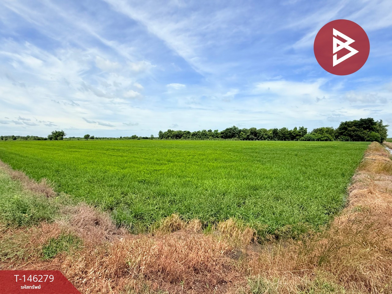 Land for sale, area 6 rai, Ban Mo, Saraburi – รูปที่ 2