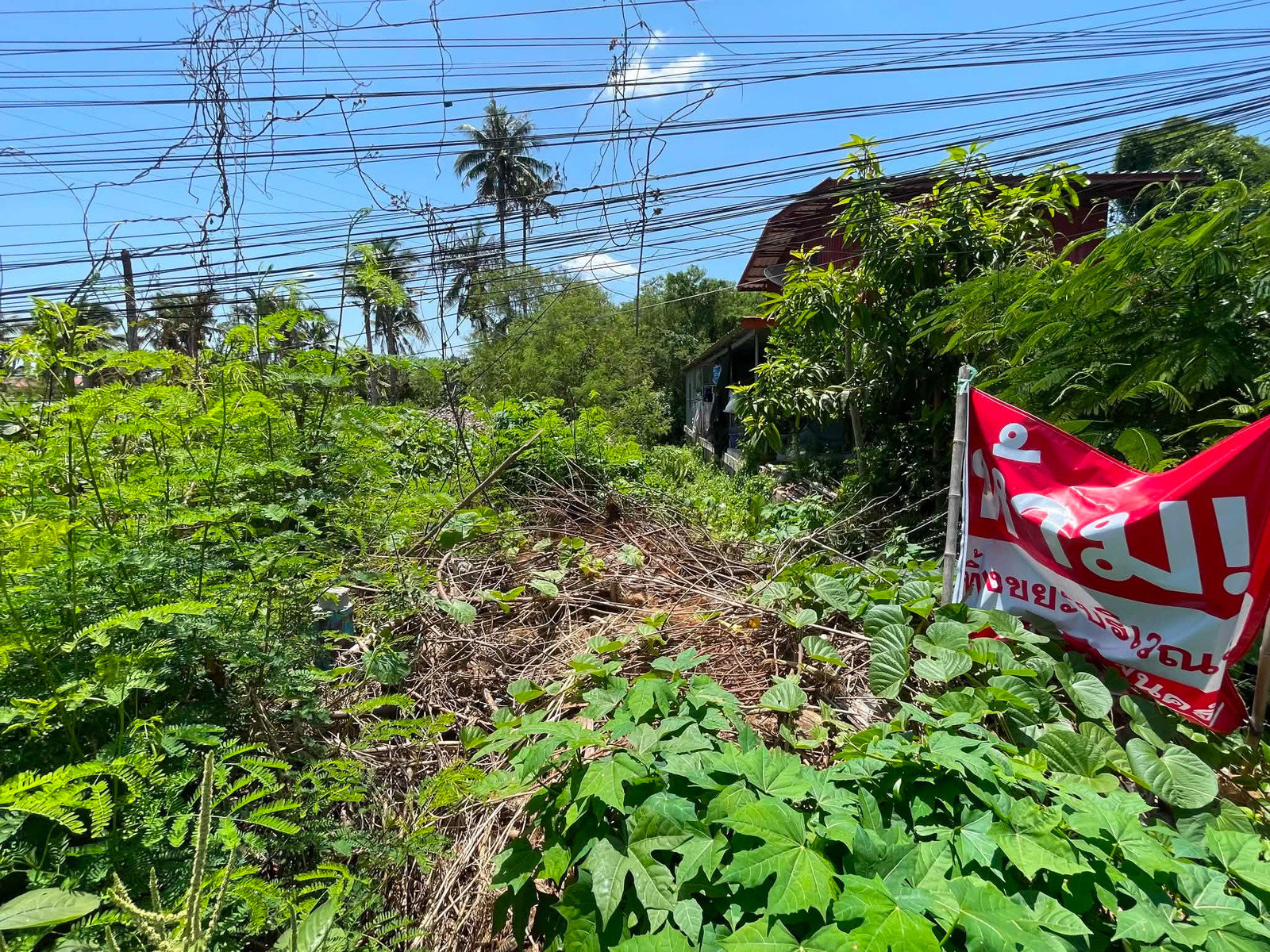 Land for sale 7 rai 2 ngan 66.7 square wah, Sri Surat Subdistrict.   Damnoen Saduak District, Ratchaburi